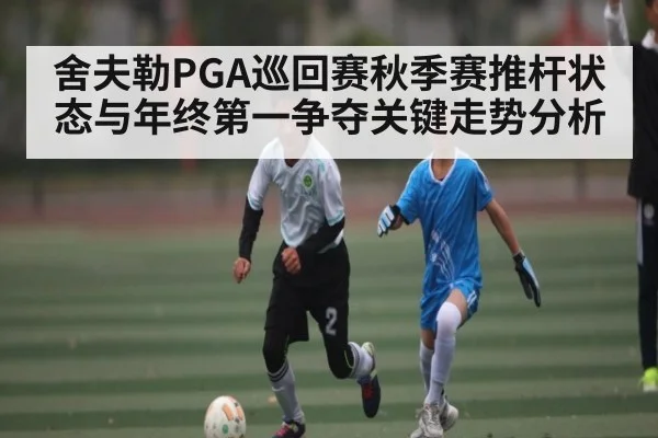 舍夫勒PGA巡回赛秋季赛推杆状态与年终第一争夺关键走势分析